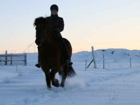 Riding Holiday Northern Lights